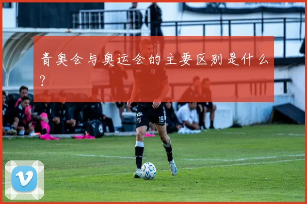 青奥会与奥运会的主要区别是什么？
